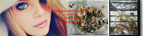 2c-b Михайлов
