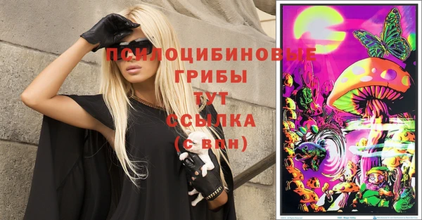 мдпв Медвежьегорск