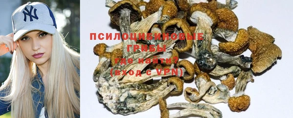 mdpv Михайловка