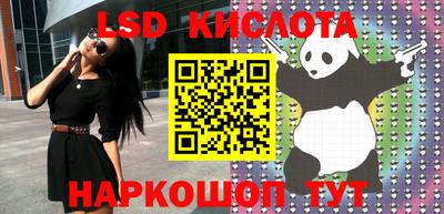 спиды Волгодонск