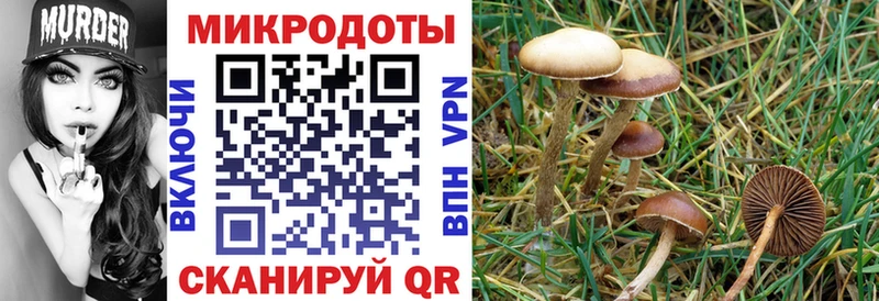 что такое наркотик  блэк спрут маркетплейс  Псилоцибиновые грибы мицелий  Омск 