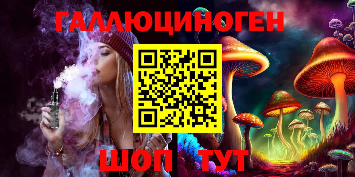 Псилоцибиновые грибы Psilocybe Омск