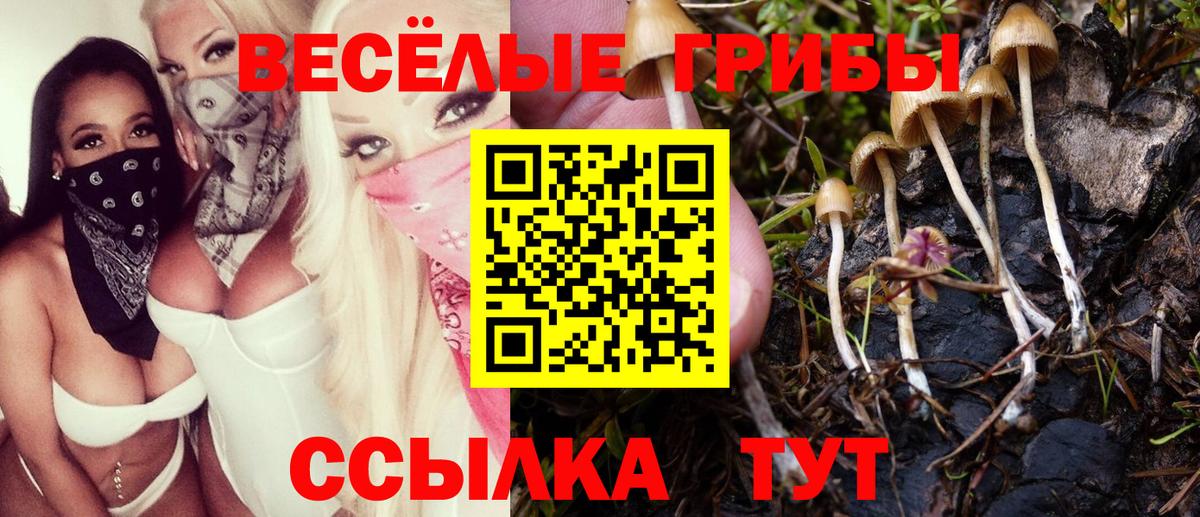 Омск  Галлюциногенные грибы прущие грибы  закладки  Вход с VPN 